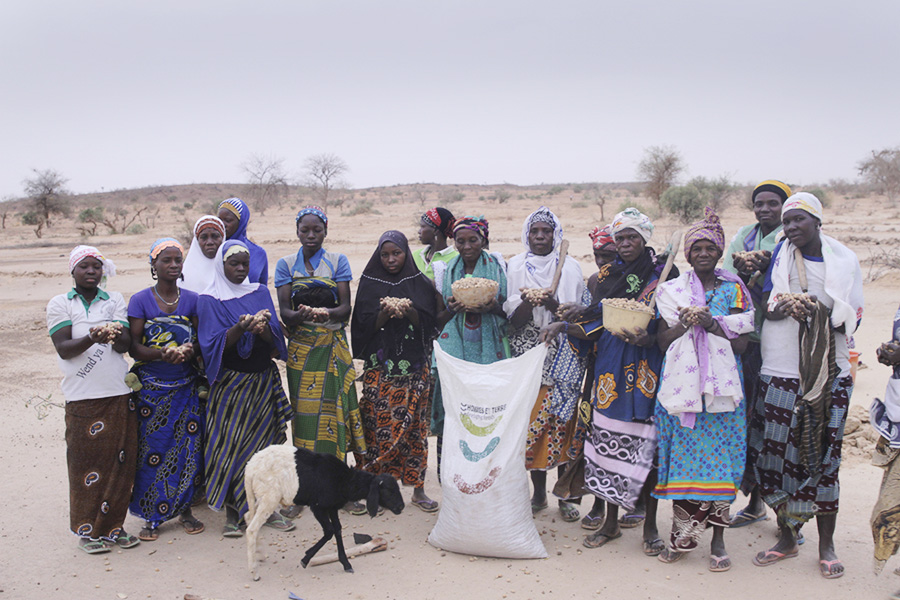 Hommes Et Terre home projets